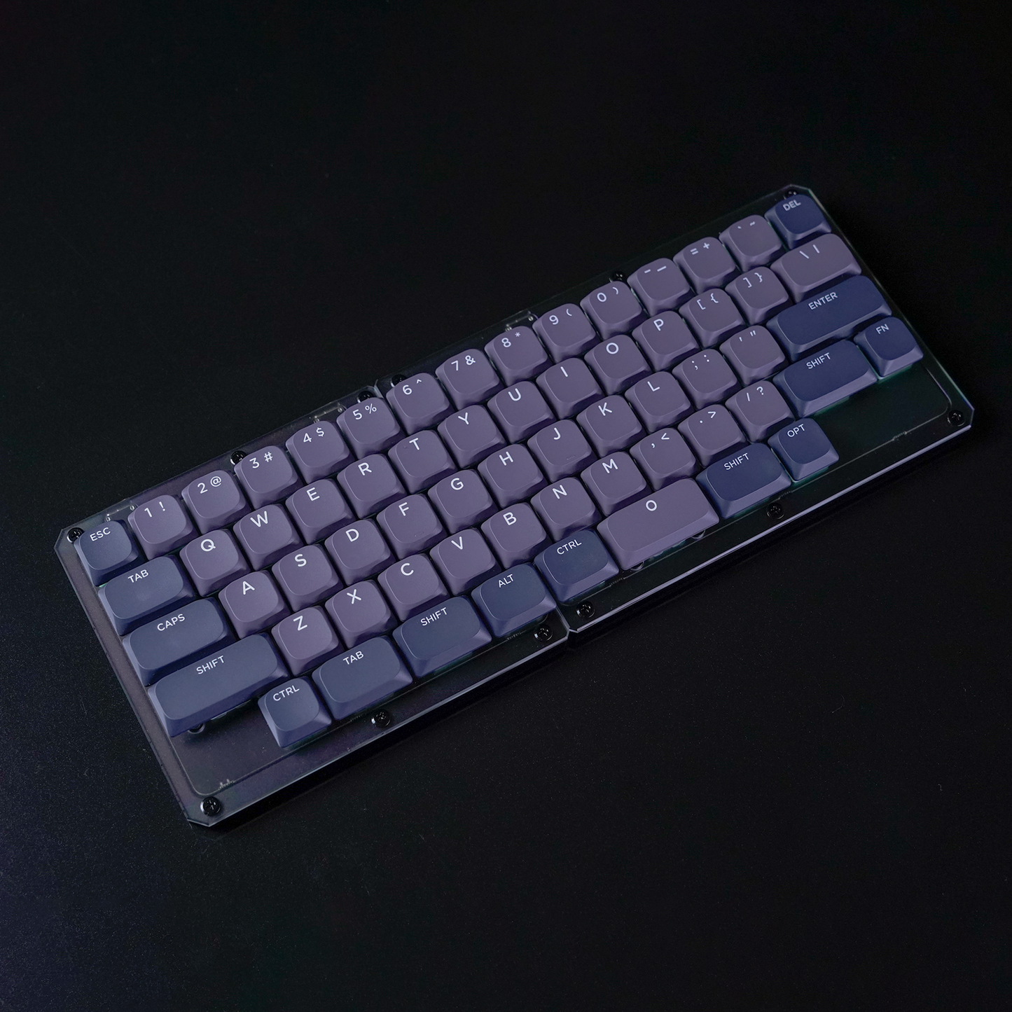 FOCUS60(黒ver)