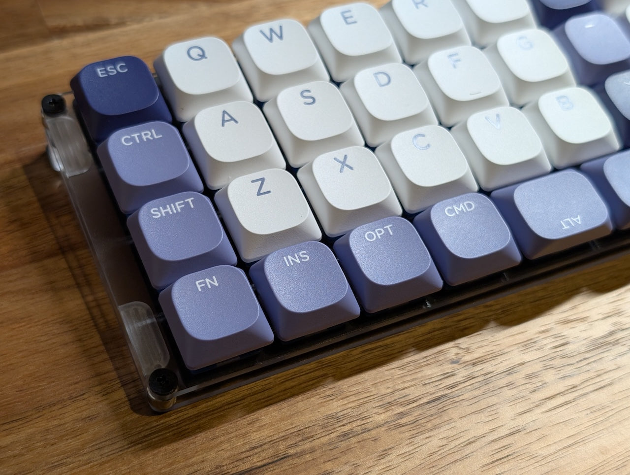 GoForty v2
