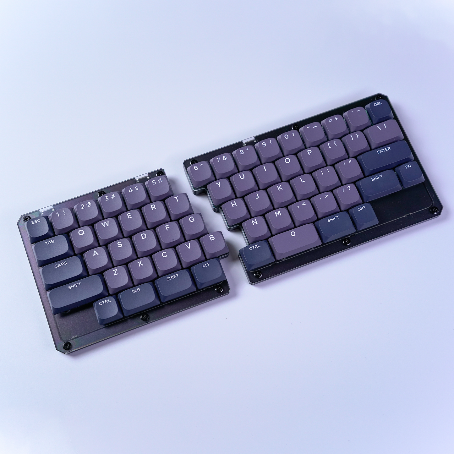 FOCUS60（黒ver）