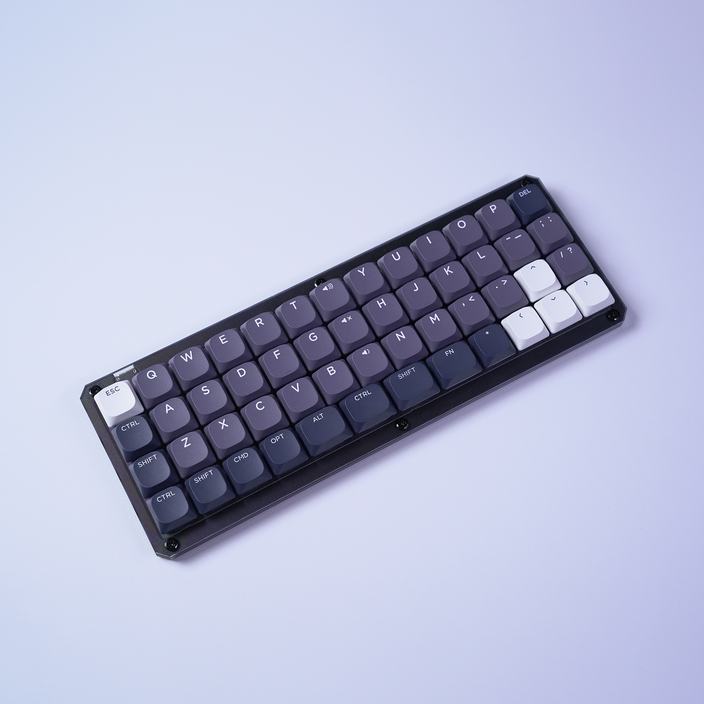 FOCUS40（黒ver）