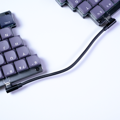 USB-C to Cケーブル（20cm）